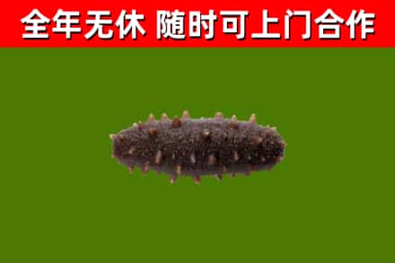 果洛烟酒回收干海参.jpg